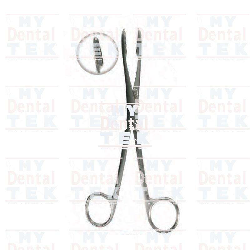 Power Dental Group | Sponge & Dressing Forceps Without Rachet 18cm | 5205